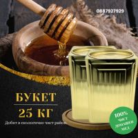 Домашен пчелен мед в тенекии , снимка 1 - Пчелни продукти - 37057636