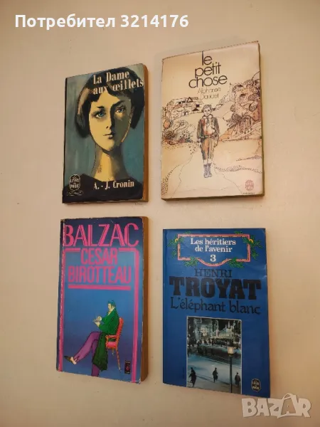 Le Petit Chose - Alphonse Daudet, снимка 1