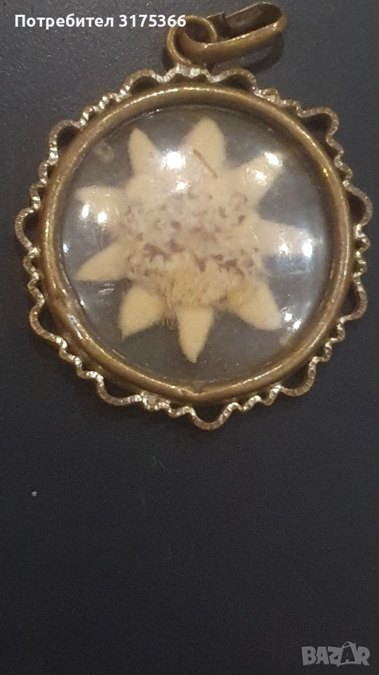 Еделвайс стара висулка  бижу хербарий, снимка 1