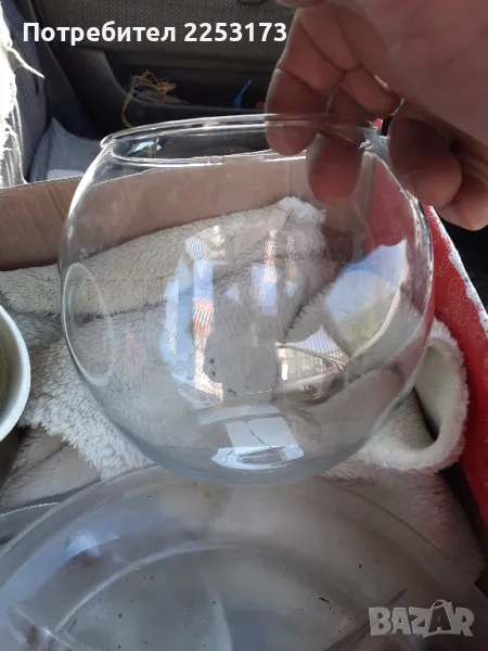 Малък стъклен аквариум, снимка 1