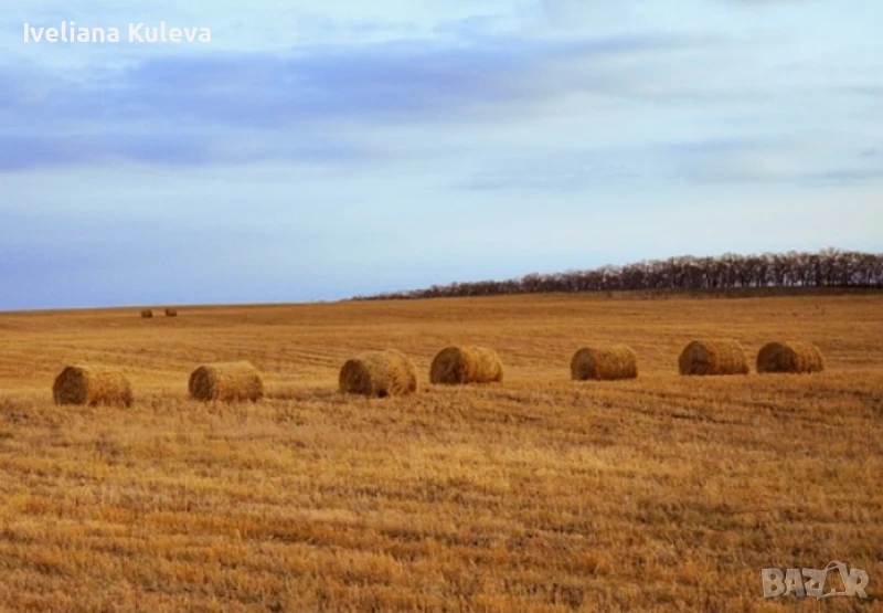 Продават се 283дка земеделска земя в област Варна, снимка 1