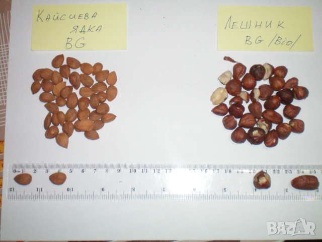 Продавам Български Бадеми, Орехи, Лешници и Кайсиеви ядки /начупени/, снимка 3 - Други - 50840690