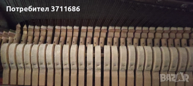 Безплатен транспорт пиано ТЮМЕН, снимка 4 - Пиана - 53509076