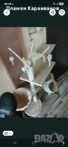 Продавам котешка катерушка, снимка 3 - За котки - 53092631