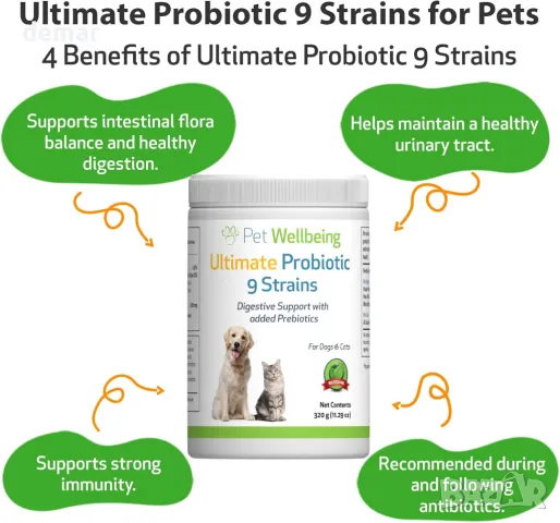 Pet Wellbeing Ultimate Probiotic 9 щама за кучета и котки - Здравословно храносмилане, 320 гр, прах, снимка 3 - За кучета - 48238100