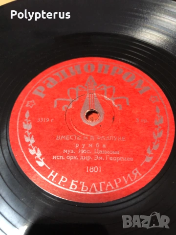 Стара българска шеллакова плоча, снимка 2 - Грамофонни плочи - 53533465