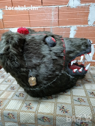 Глави на мечки . Голями, снимка 5 - Други стоки за животни - 52850788