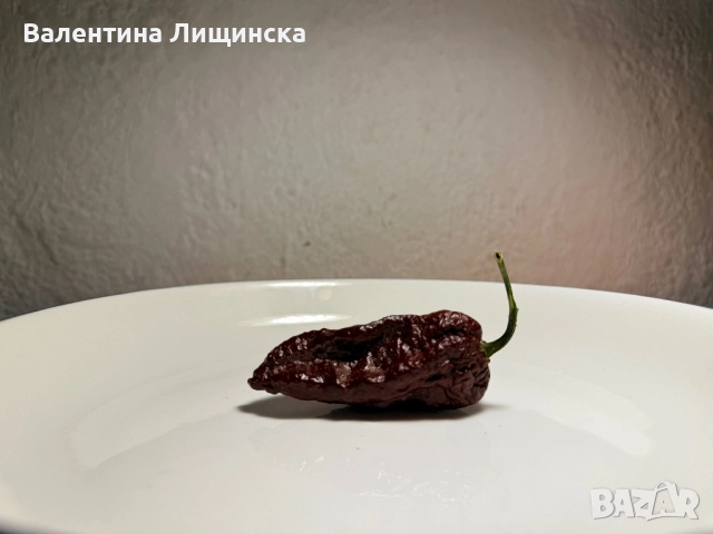  резервиране на разсад от люти чушки, снимка 4 - Разсади - 51981708