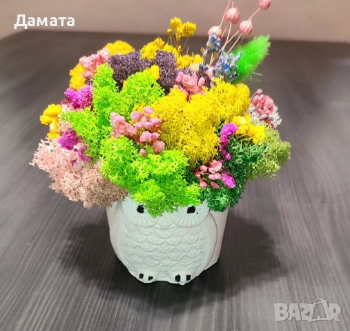 Бухалчета и котета със скандинавски мъх 