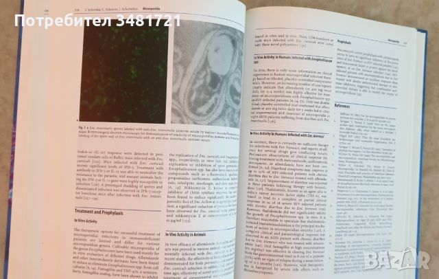 Учебник-атлас по чревни инфекции при СПИН / Textbook-Atlas of Intestinal Infections in AIDS, снимка 6 - Специализирана литература - 46497175