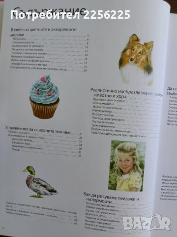 Изкуството да рисуваш в цвят, снимка 6 - Специализирана литература - 50694818