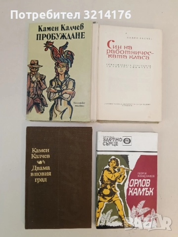 Двама в новия град - Камен Калчев