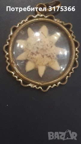 Еделвайс стара висулка  бижу хербарий