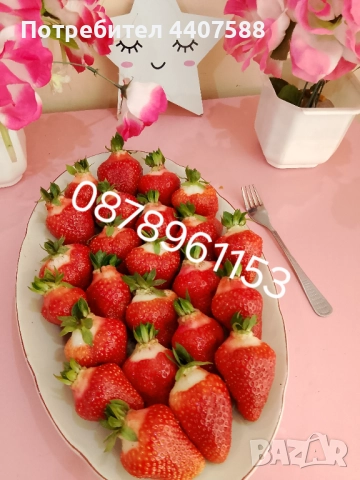 Разсад ягоди и малини , снимка 5 - Разсади - 49528320