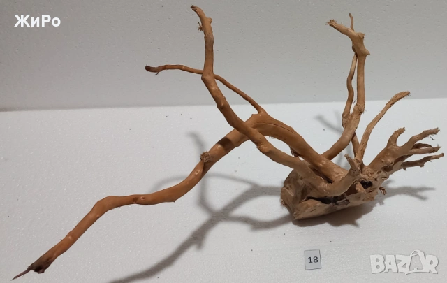 Корен от Азалия /декорация/ 18, снимка 4 - Други - 48936428