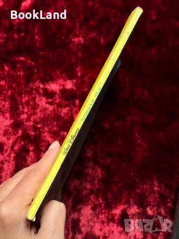 Доналд Дък| Макрокомикс , снимка 2 - Детски книжки - 53863316