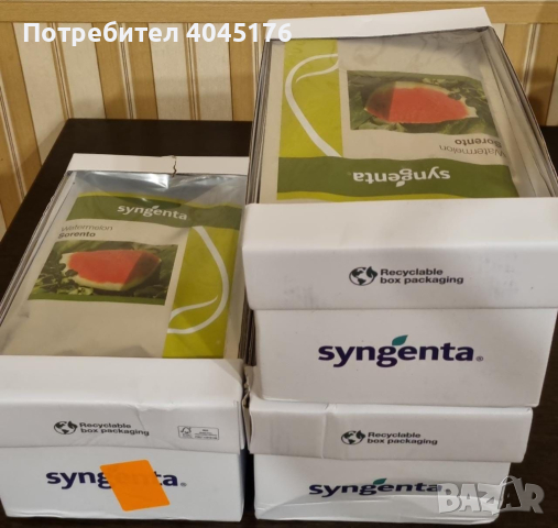 Семена Syngenta за диня Sorento и Karistan, снимка 11 - Сортови семена и луковици - 44971044