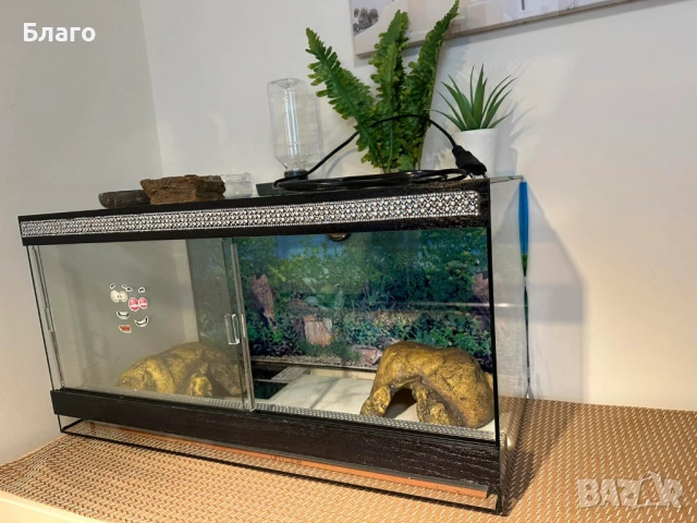 Терариум за гекон/гущер 60х30х30 с 2 нагреватея, купички и укрития