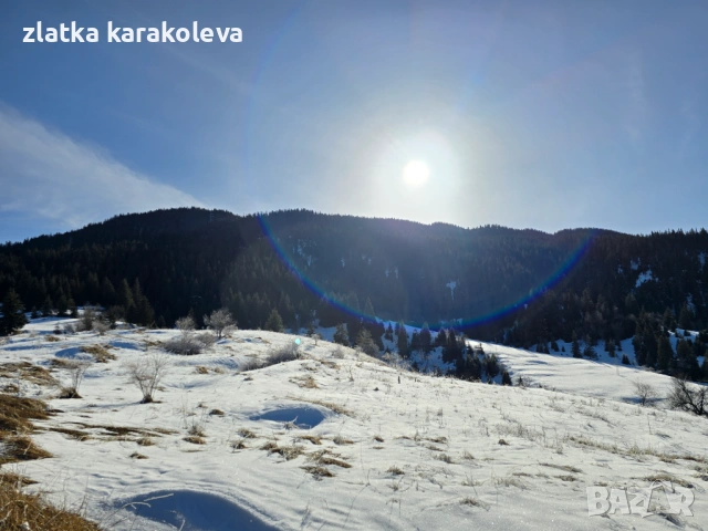 Продава се къща с имот в с. Гела