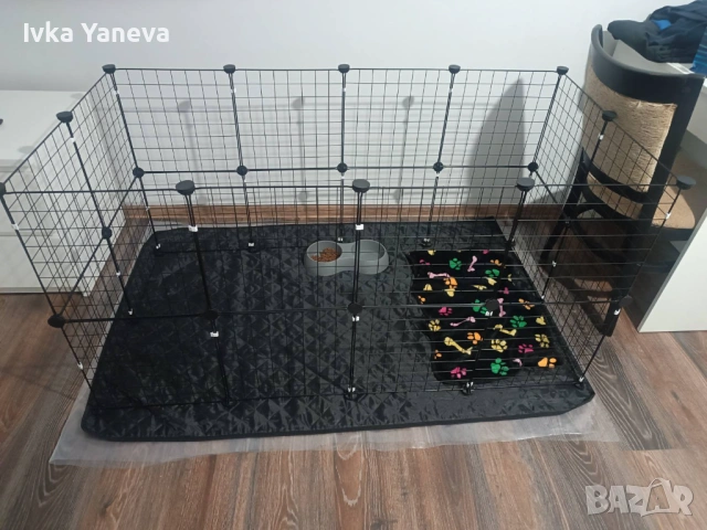 Продавам Женско Йорки, снимка 2 - Йоркширски териер - 53815447