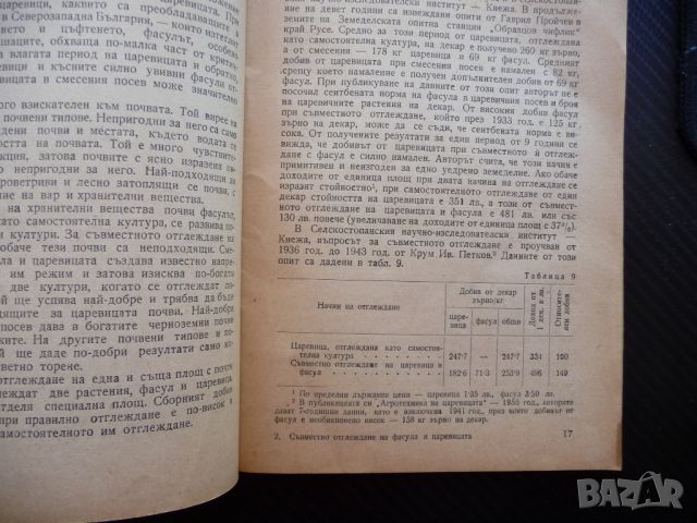 Съвместно отглеждане на фасула и царевицата селско стопанство, снимка 2 - Специализирана литература - 45638575