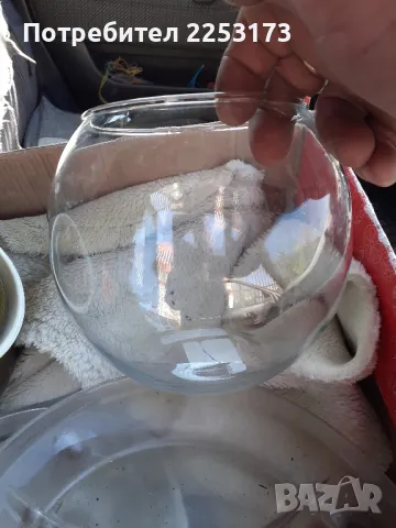 Малък стъклен аквариум, снимка 1