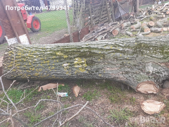 Дървен материал орех, снимка 3 - Други - 54221452