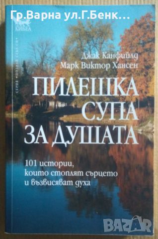 Пилешка супа за душата  Джак Канфийлд 30лв, снимка 1 - Художествена литература - 46613091