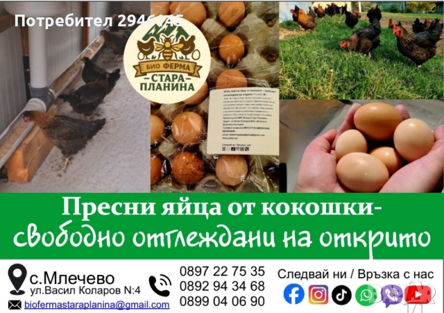 Пресни яйца от кокошки - отглеждани на открито, снимка 1