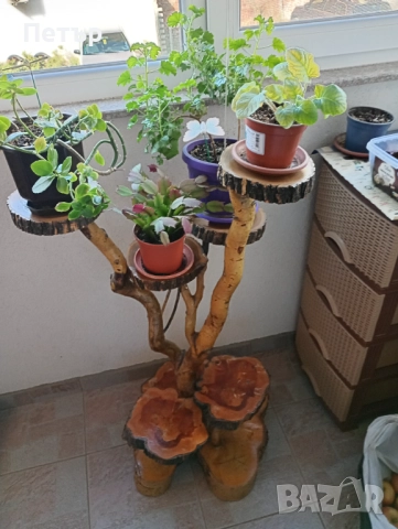 Естествен цветарник от дърво , снимка 5 - Стайни растения - 52766303