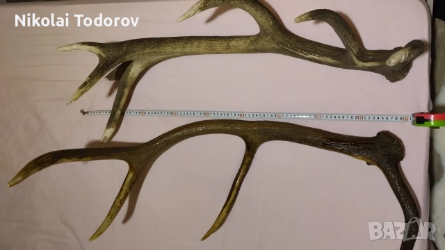 Трофей от сръндак