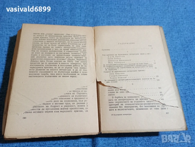 Пантелей Зарев - Българска литература , снимка 6 - Българска литература - 53516928