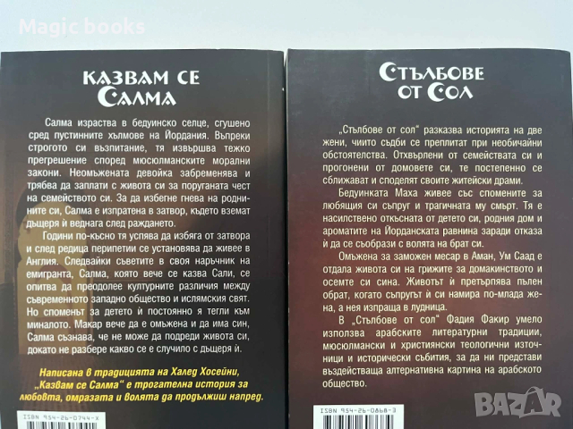 Стълбове от сол/Казвам се Салма - Фадия Факир, снимка 3 - Художествена литература - 53987195
