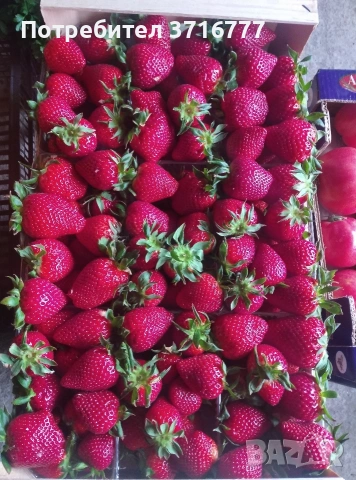 зеленчуци и плодове , снимка 5 - Други стоки за дома - 54265438