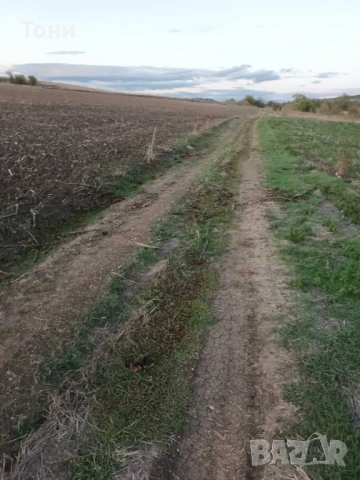 Земеделска земя категория 4-та