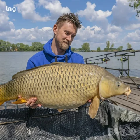 Стойка за Риболов JSFUN  – Идеални за Шарански Риболов!, снимка 7 - Такъми - 50927773