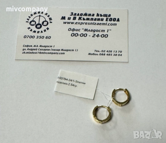 Златни Обеци 2.54гр