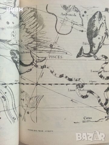 Митове и легенди за съзвездията - Ангел Бонев - 1976г, снимка 5 - Енциклопедии, справочници - 46499035