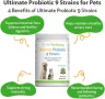 Pet Wellbeing Ultimate Probiotic 9 щама за кучета и котки - Здравословно храносмилане, 320 гр, прах, снимка 3