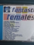 MTV fantaqstic females - матричен диск музика, снимка 2
