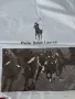 Ралф Лаурен/Ralph Lauren, поло тениски 2бр., снимка 6