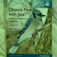 Object first with Java, снимка 1 - Специализирана литература - 45024551