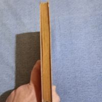 Фридрих Каул - Синята папка , снимка 6 - Художествена литература - 45412945