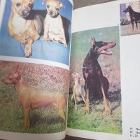 Немска овчарка Елена Павлова и Обичаш ли кучето си, снимка 7 - Антикварни и старинни предмети - 45650095