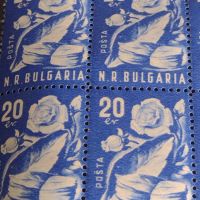 Пощенски марки БЪЛГАРСКА РОЗА НРБ чисти без печат за КОЛЕКЦИОНЕРИ 44497, снимка 4 - Филателия - 45297219