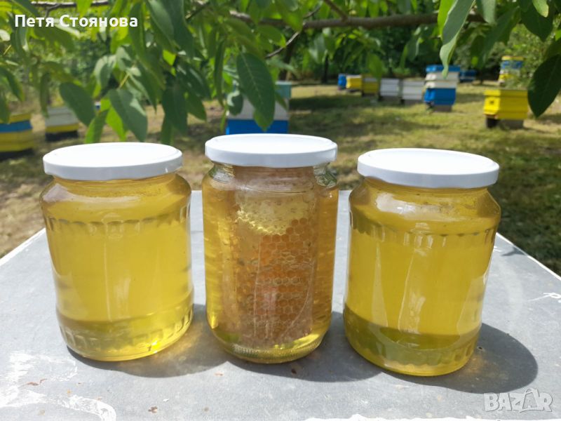 Пчелен мед от производител 2024г, снимка 1
