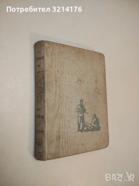 Последната година - Бончо Несторов, снимка 1