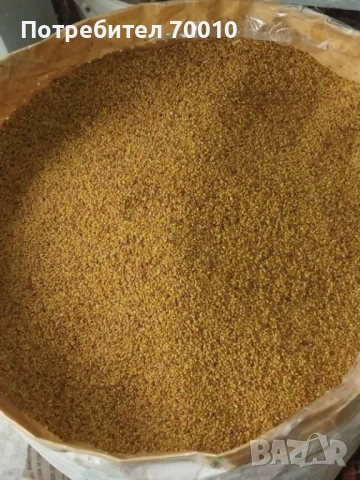 Продавам люцерна семе
