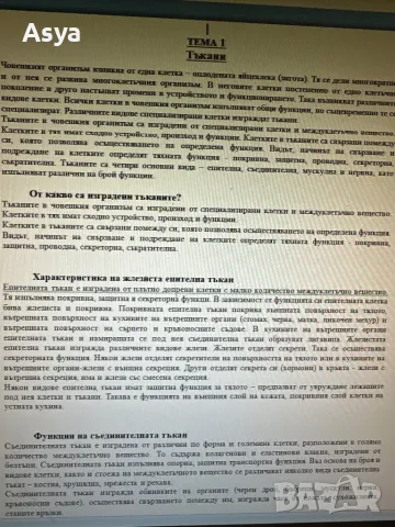 Сборник за кандидатстване в МК Варна, снимка 5 - Учебници, учебни тетрадки - 47967773