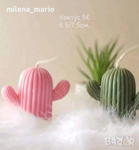 Нови молдове 3, снимка 3 - Други - 54113042